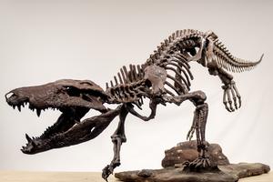A new large hypercarnivorous crocodyliform from the Maastrichtian of Southern Patagonia, Argentina