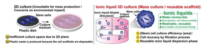 Ionic liquids open up the future ahead of cell culture.