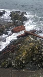 Drift log movement 2