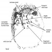 Shaman's Grave Diagram