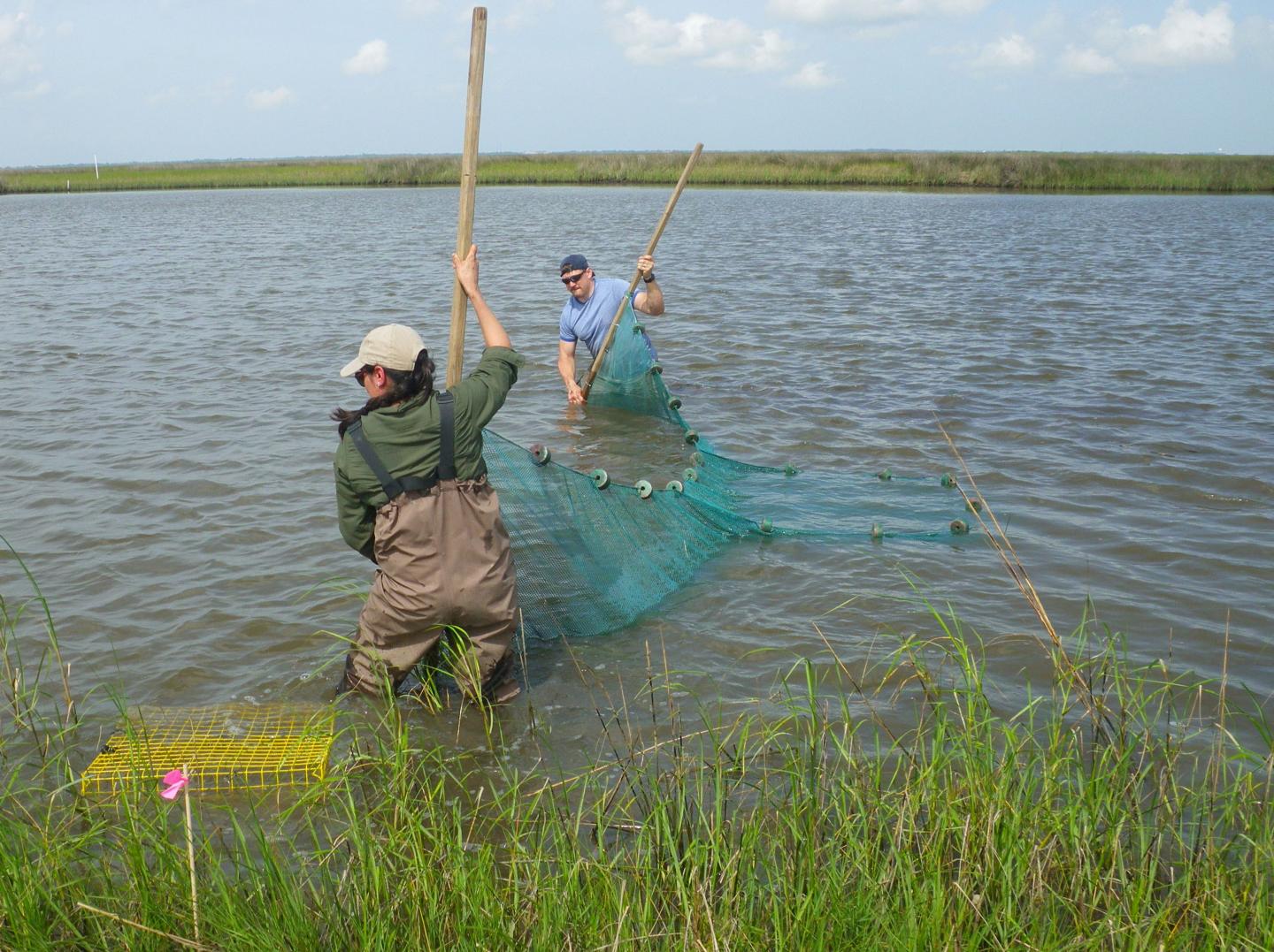 Gulf Oil Spill Research Continues