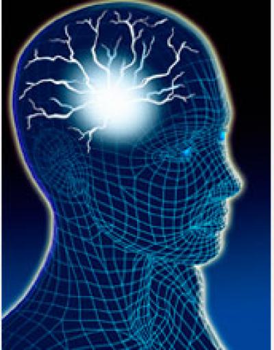 Plastic Brain Outsmarts Experts