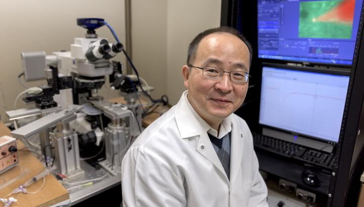Jun Wang, Texas A&M University 
