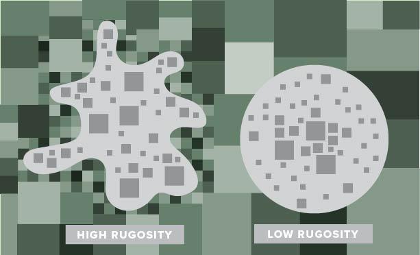 High Rugosity and Low Rugosity