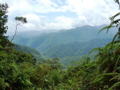 Ecuadorian Andes