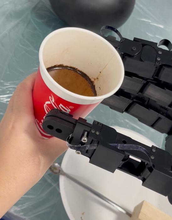 Robotic Intelligent Service