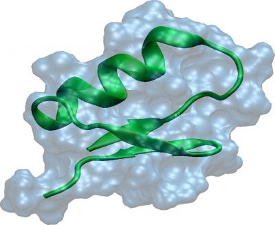 GaTx1 Toxin