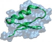 GaTx1 Toxin