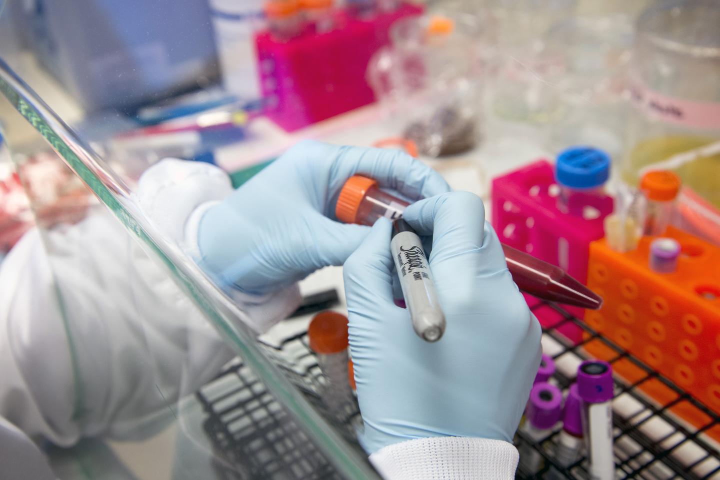 DNA Research