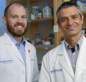 D'Orso and Reeder, UT Southwestern Medical Center