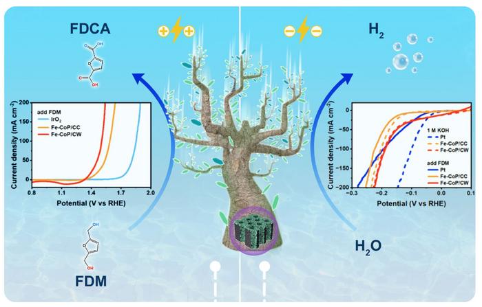 Boosting electrocatalytic generation of FDCA and H2 from 2,5-furanedimethanol solution by carbonized wood supported Fe-CoP nanoleaves