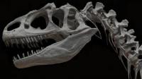 Dinosaur Body Temperatures