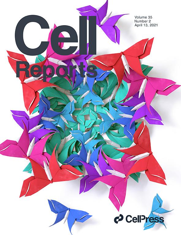 Shape-Shifting Ebola Virus Protein Exploits Human RNA to Change Shape