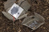 Decomposition of a Biodegradable Battery