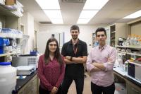 Researchers