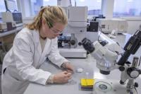 Analyzing Filtered Results