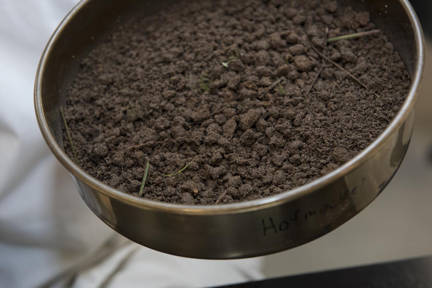 Soil Sifting