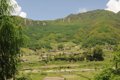 China Forest