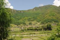 China Forest