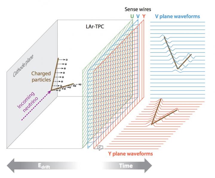 How the MicroBooNE detector works