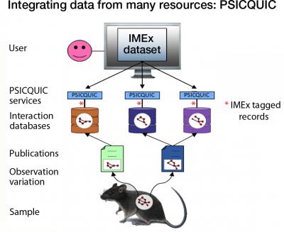 Integrating Interaction Data