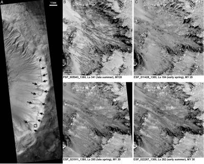 Martian Slopes Sprout Dark Streaks in Warm Seasons (5 of 5)