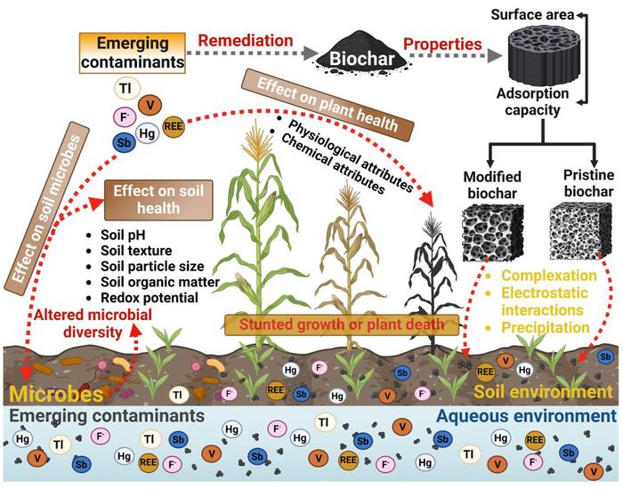 Remediation of emerging inorganic contaminants in soils and water using pristine and engineered biochar: a review