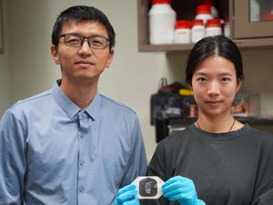 Huanyu "Larry" Cheng and Wanqing Zhang