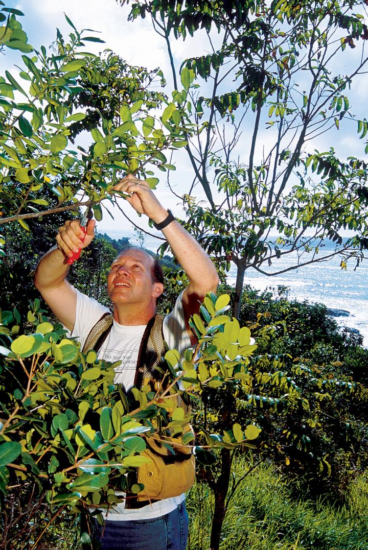 Dr. Wayt Thomas, the NYBG's Lead Scientist on the World Flora Online Project