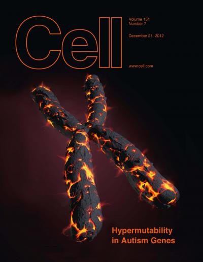 Mutation Hotspots in Autism Genes (1 of 2)