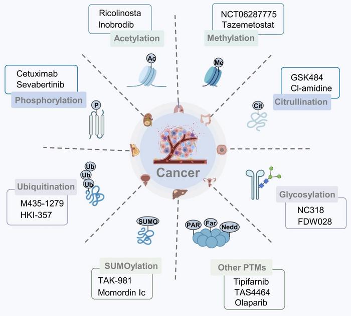 Dysregulated PTMs and their crosstalk in cancer.
