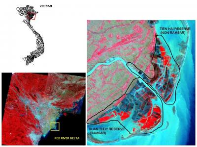 Vietnam's Vanishing Mangrove Habitat
