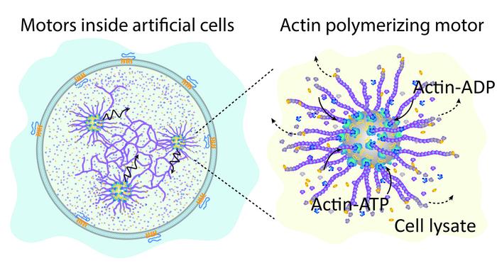 Artificial cell graphic