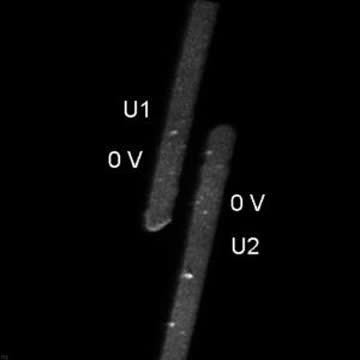 Photoemission Electron Microscopy Video of Ionic Liquid/gold Electrodes