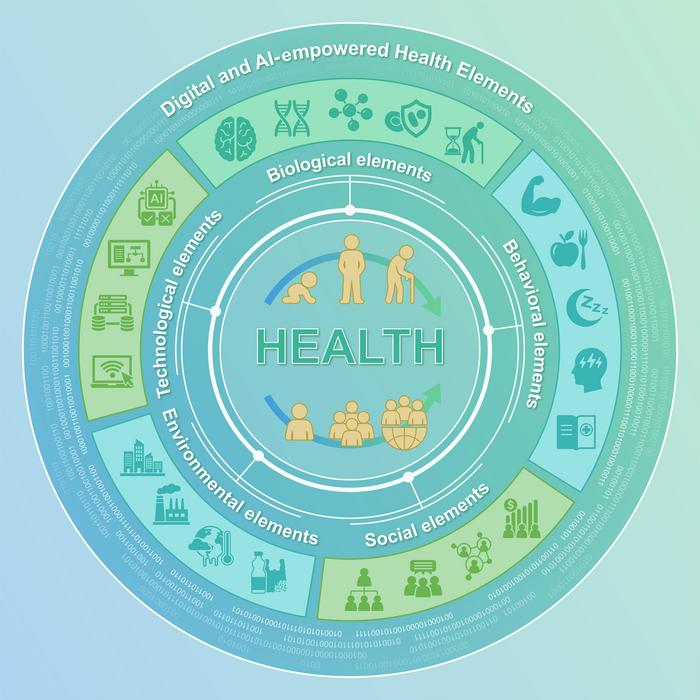 Conceptual framework of Health Elements in a digitally mediated health system.