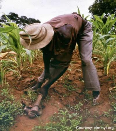 Hoeing African Crops