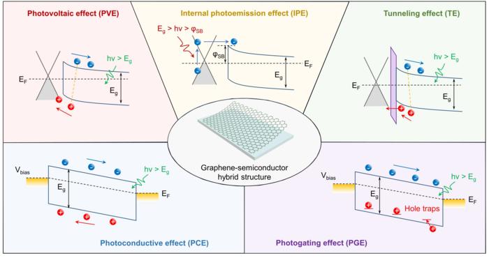 Photocurrent generation mechanisms in the graphene-semiconductor hybrid structure