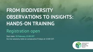 B-Cubed training sessions