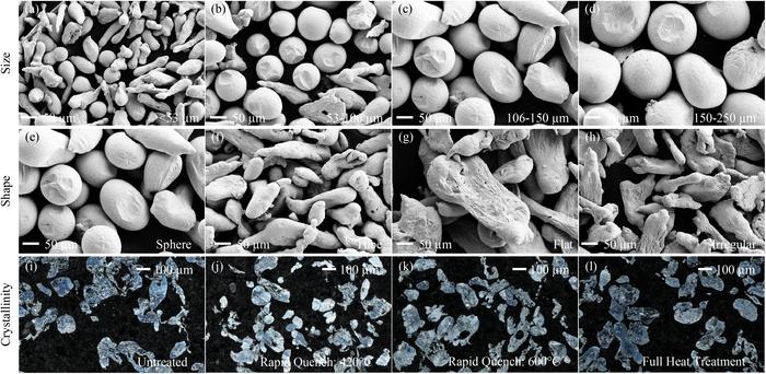 Scanning electron microscopy (SEM) images of spherical particles representing the 4 size ranges