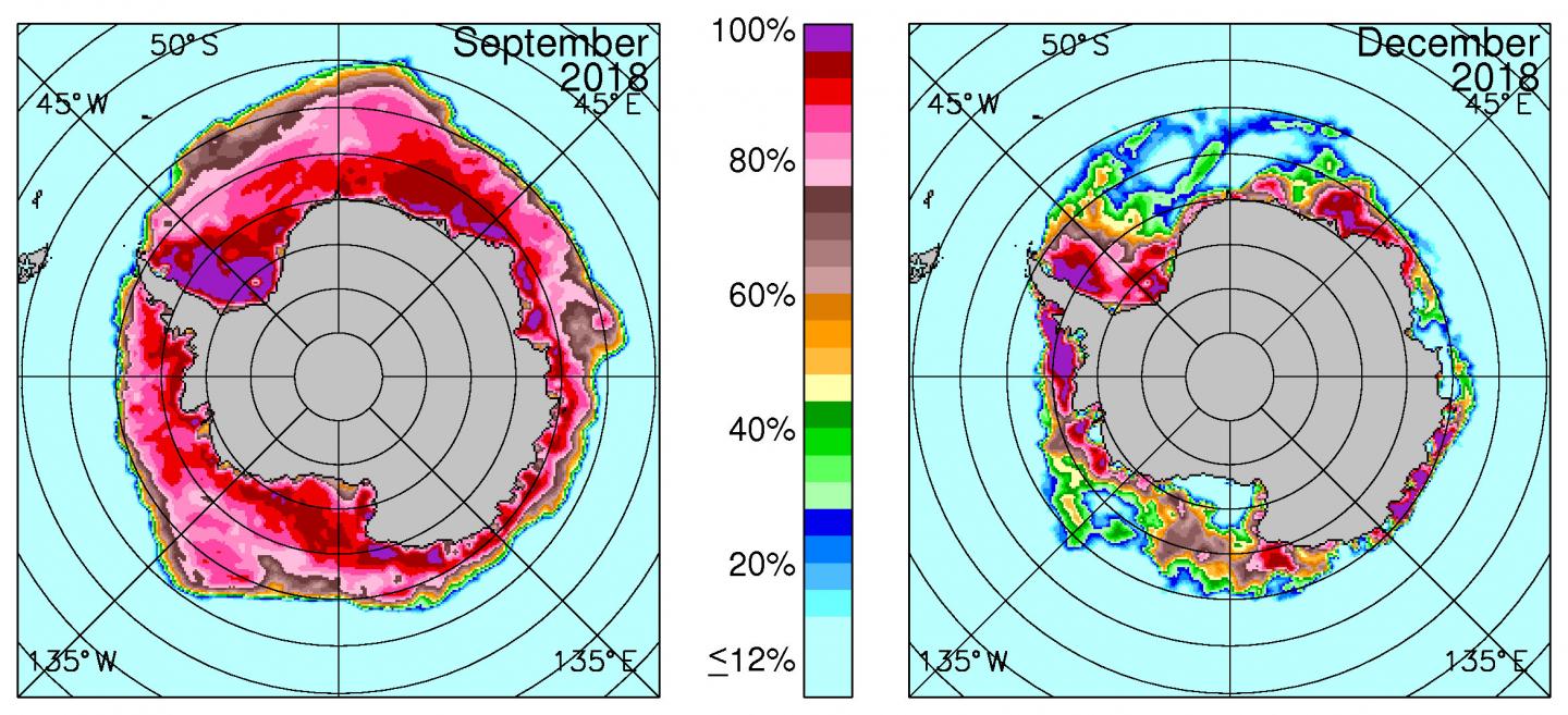 Antarctic sea ice concentrations
