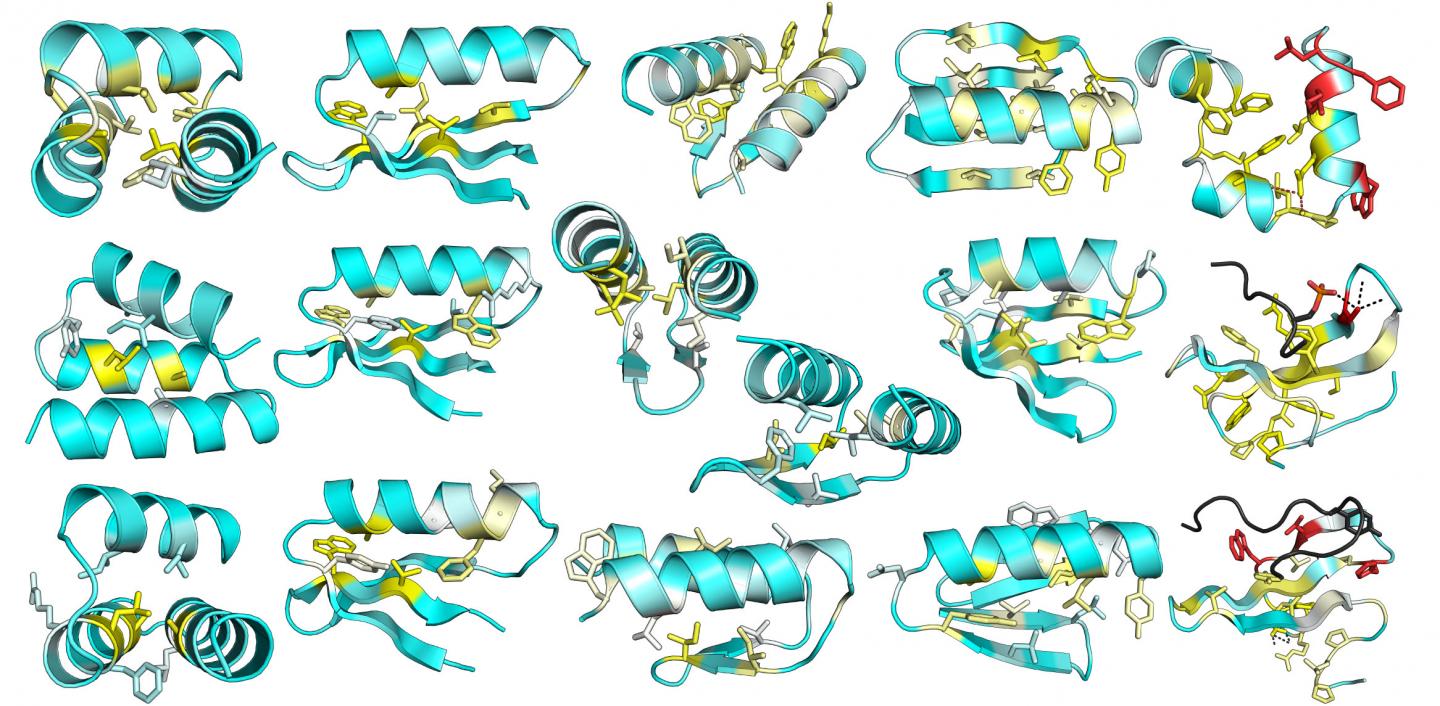 Mutational Analysis of Protein Stability