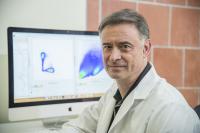 UArizona Health Sciences Study Shows SARS-CoV-2 Antibodies Provide Lasting Immunity