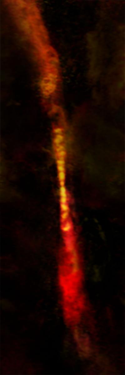 Serpens Protostar