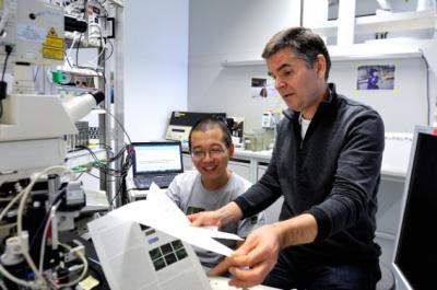 Neuroscience at IST Austria