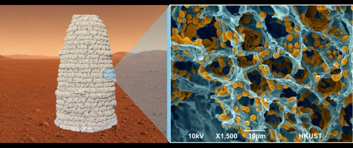 3D printing living building material under  Mars conditions