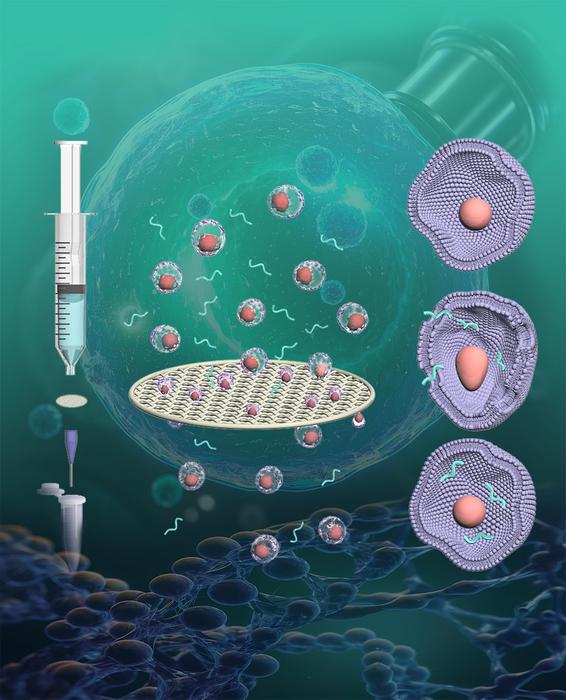 A novel method to enable intracellular delivery
