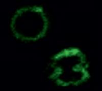 Black backgrond with green 