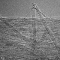 Purified Carbon Nanotubes