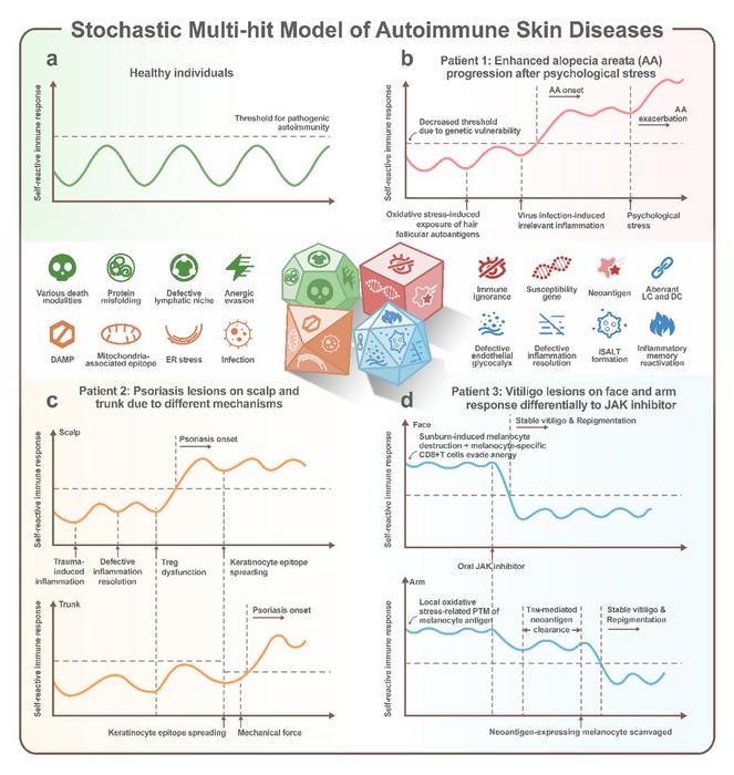Novel perspectives of autoimmune skin disease pathogenesis: the stochastic multi-hit model