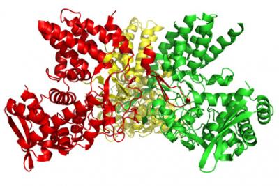 Flu Influenza A Virus